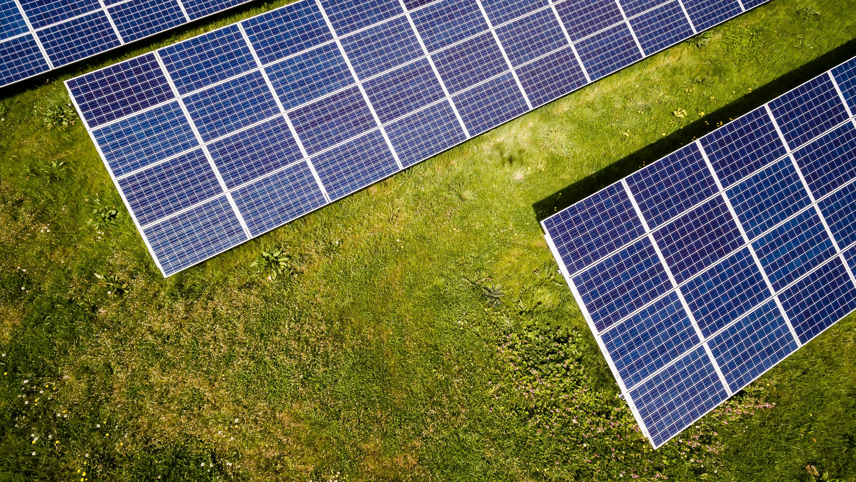 Agrisolar